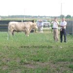 WCC2008